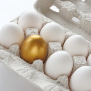 golden egg in crate of eggs