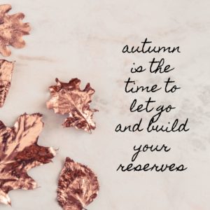 autumn inspiration