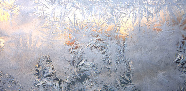 frosted window