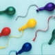 sperm balloons